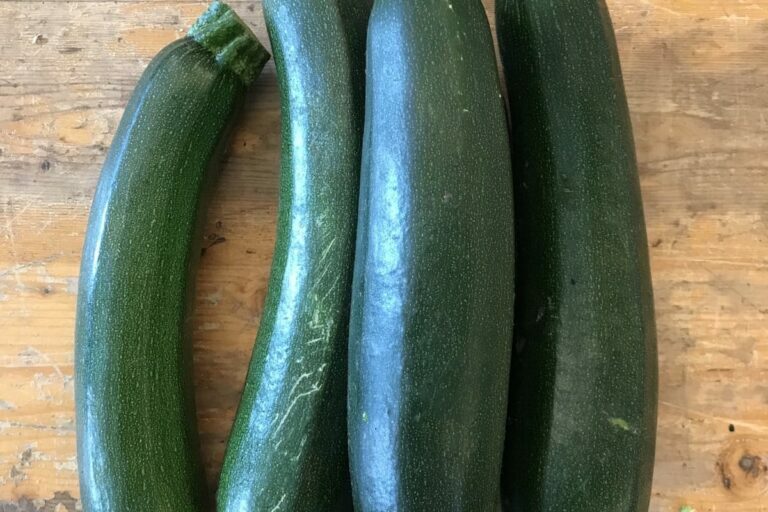 Aan de slag met courgette