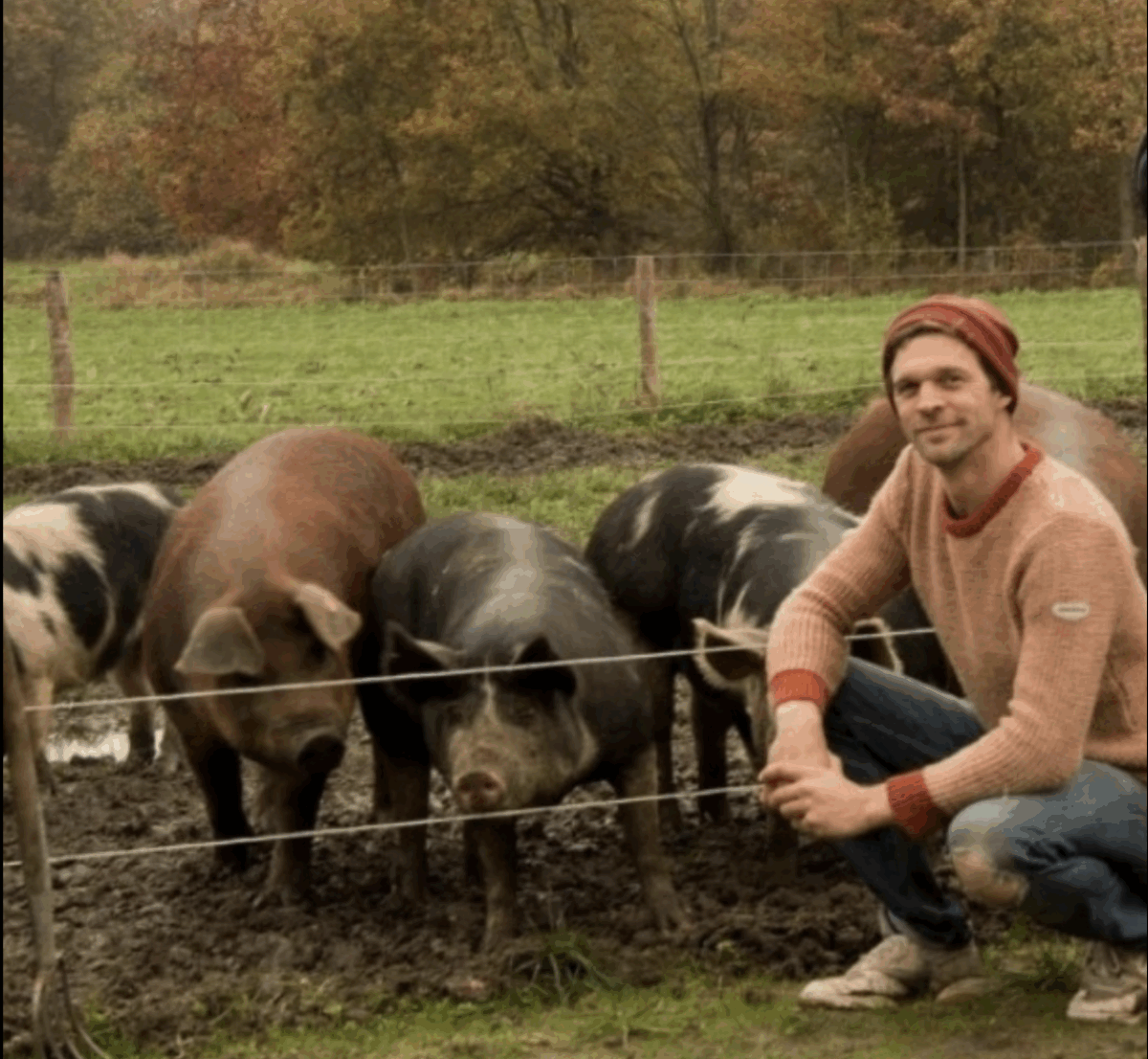 APERICO met producent Vark